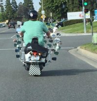 :) каждый раз когда вижу эту фотку=) Типа или ниндзя или чудо в парандже=) или ещё пальцем показывает. блин. Наверное пора остановиться бухать? да?