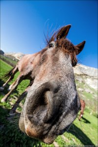 Собчак в разные годы жизни....