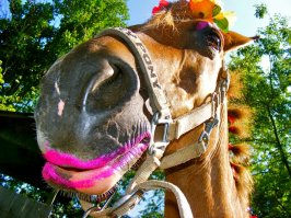 На свадьбе у Ксении Собчак.......