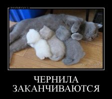 Свежая подборка демотиваторов, которые поднимут вам настроение