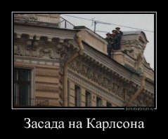 Свежая подборка демотиваторов, которые поднимут вам настроение