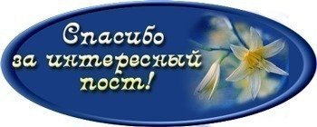 Инфракрасные фотографии природы от Брэдли Манковица