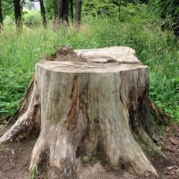 Жертва навигатора!