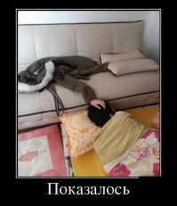 Это просто показалось!