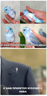 Очередная порция картинок с подписями