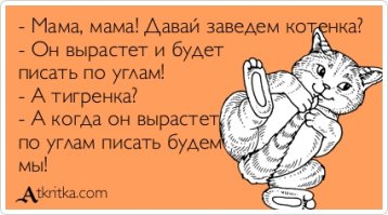 Милый детёныш черной пантеры издает звуки, от которых кровь стынет в жилах