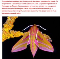 А вот мнения меняются