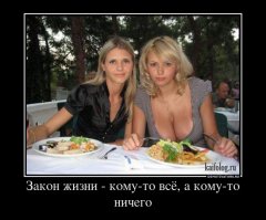 Фотографии, показывающие, как выглядит зависть со стороны