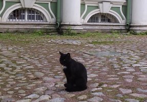 Подтверждаю. Зимний красив. 
Кошка инкогнито.