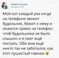 Наивный! Это ж кот, они без подлости и пакости жить не могут. Просто этот шерстяной п%*@с специально ложиться на телефон, чтобы ты проспал на работу. И отгреб люлей от начальства.