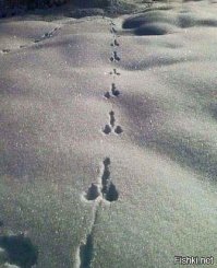 Воображение, что же ты делаешь? Прекрати!