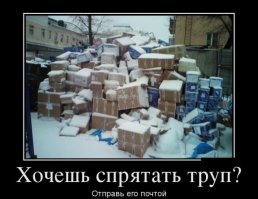 В "Почте России" установили виновного в хищении посылок под Ростовом