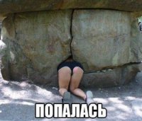 Идет заяц по лесу, смотрит бегут звери, а сзади всех муравей. Останавливает его и спрашивает:
  Ты куда муравей бежишь?
  Да львица между деревьев застряла.
  А ты-то куда, такой маленький?
  А что я не мужик что ли