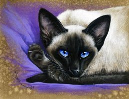 Прям с моего балинеза Филимона рисовано, только он окраса блюпойнт.