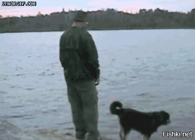 Решивший обидеть собаку парень испытал на себе «закон бумеранга»