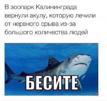 Окуляху жалко