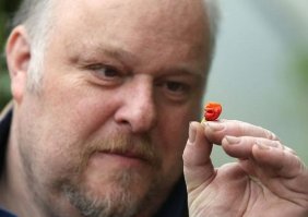 Каролина Рипер уже не самый острый в мире. Недавно его опередил перец  Дыхание Дьявола  (Devil s Breath) с остротой 2,48 миллиона по шкале Сковилла