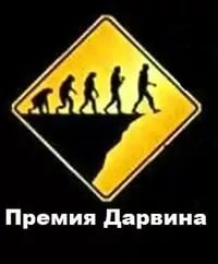 У них ещё нет детей?