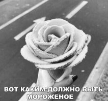 Очередная порция картинок с подписями