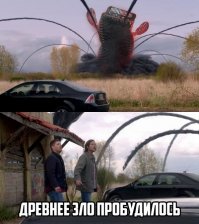 Ох уж эти немцы! Все не как у людей