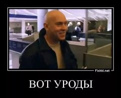 "мы встречали собаку в аэропорту Кенеди, что в Нью-Йорке, всей семьей - мама (я), папа (муж) и брат Стенли (наша первая собака)."
Брат Стенли, брат, <span style='color:gray'>[мат]</span>....