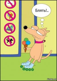 Этот пост поймут те, чьи права хотя бы раз в жизни ущемляли