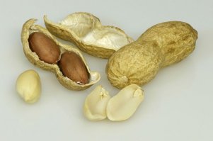 БОООООЙСЯЯЯЯЯЯ!