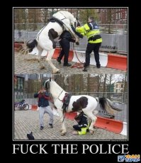 Алибабаевич,жжошь!