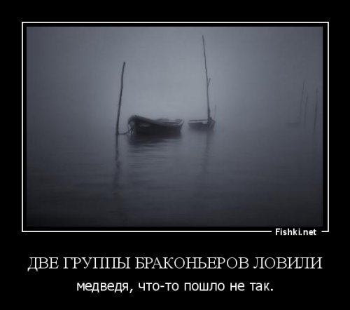 Охотник из Иркутской области пытался на ходу с лодки отпугнуть медведя и убил двоих рыбаков