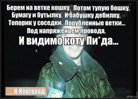 ПОЧЕМУ КОШКИ ЧАСТО  ЗАСТРЕВАЮТ  НА ДЕРЕВЕ?