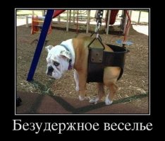 17 открыток с отборным юмором