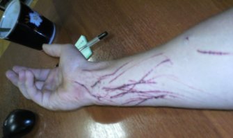 Милый детёныш черной пантеры издает звуки, от которых кровь стынет в жилах