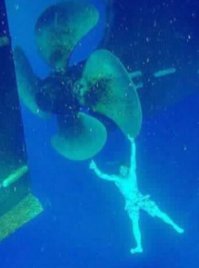 А ну как заведётся, фарш?