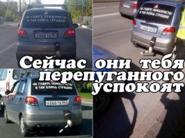 Автовсячина