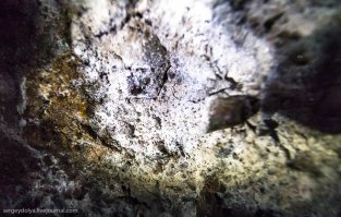 Сыры ту выдерживать...
У меня дядя, служил на Итурупе в стройбате, офицер. Привёз в 80-м чемодан красной икры в ж/б. Вот отрывались.