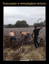 Этот пост поймут те, чьи права хотя бы раз в жизни ущемляли