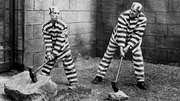 Скоро у них будет много времени совершенствовать свое кунг-фу