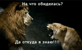 Столкновение с фундаментальной женской логикой, против которой нет оружия