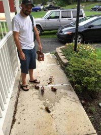 Неприятности, которые случаются в повседневной жизни