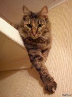 7 лет назад нашлась у мусорки))