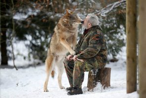 Надо было  Русского  нанять , желательно с Сибири.
и  на  стволе с  транквилизаторами бы  сэкономили, и  зверя  не потеряли идиоты.
ДА и вообще - вон в видео не  толерантная, зато  грамотная  сотрудница а не как  у  пи....