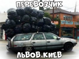 А львы, наверное, в пакетах упакованы?