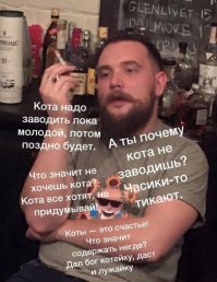 Любовь россиян к кошкам оказалась самой большой в мире