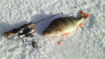 Хочу на лёд.