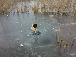 Хочу на лёд.