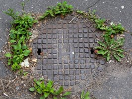 Калининград, довоенный немецкий люк. И их по области дофига. Практически вечные, только железо шинами стирается, если на дороге.