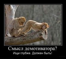 Избитый в самолете на Барселону пассажир извинился за оскорбление русских