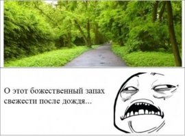 Пост посвящается всем тем, у кого до сих пор за окном льёт дождь