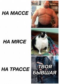 Очередная порция картинок с подписями