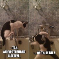 Очередная порция картинок с подписями